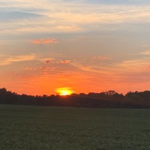 Meet your Posher, Billie jo